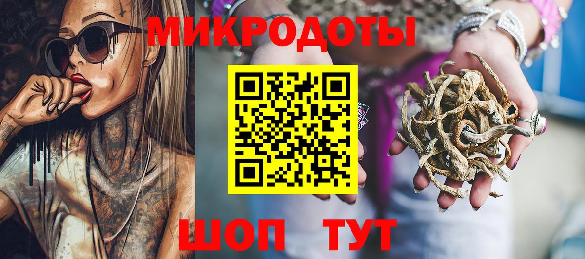 Большой Камень  Галлюциногенные грибы мицелий  Вход с VPN 