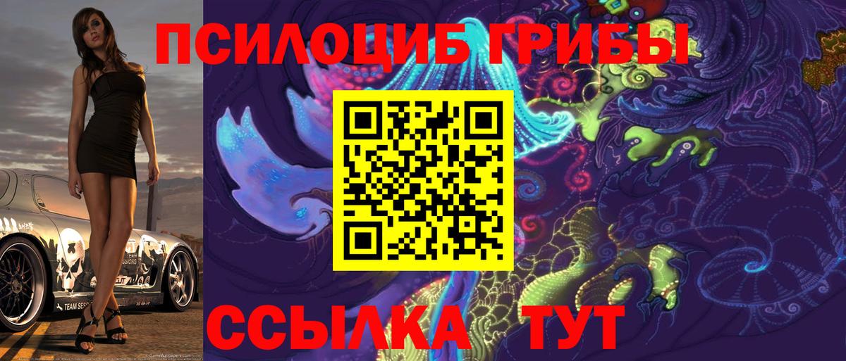 Псилоцибиновые грибы мухоморы Большой Камень